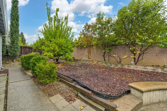 a view of a backyard with plants and a bench