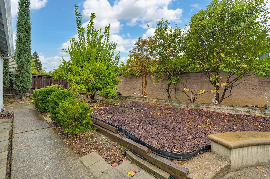 8477 Rick Mary Court Fair Oaks, CA 95628 - Photo 44 of 48 a view of a backyard with plants and a bench