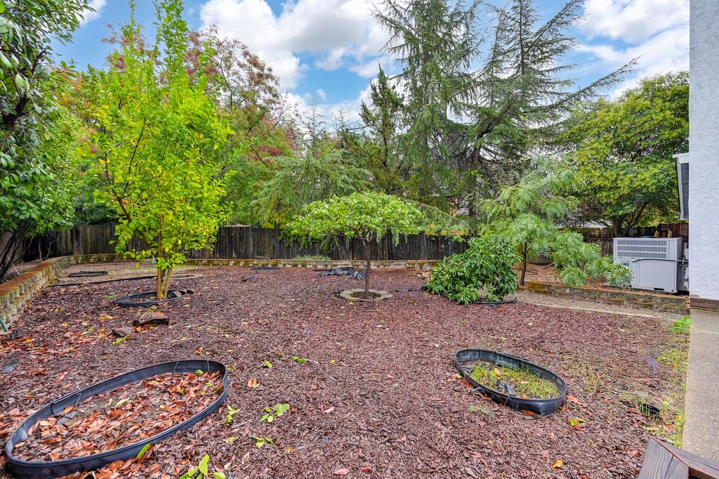 8477 Rick Mary Court Fair Oaks, CA 95628 - Photo 45 of 48 a backyard of a house with lots of green space