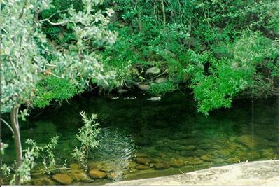 40924 Harris Road Springville, CA 93265 - Photo 22 of 32 View of the river on the South side of t