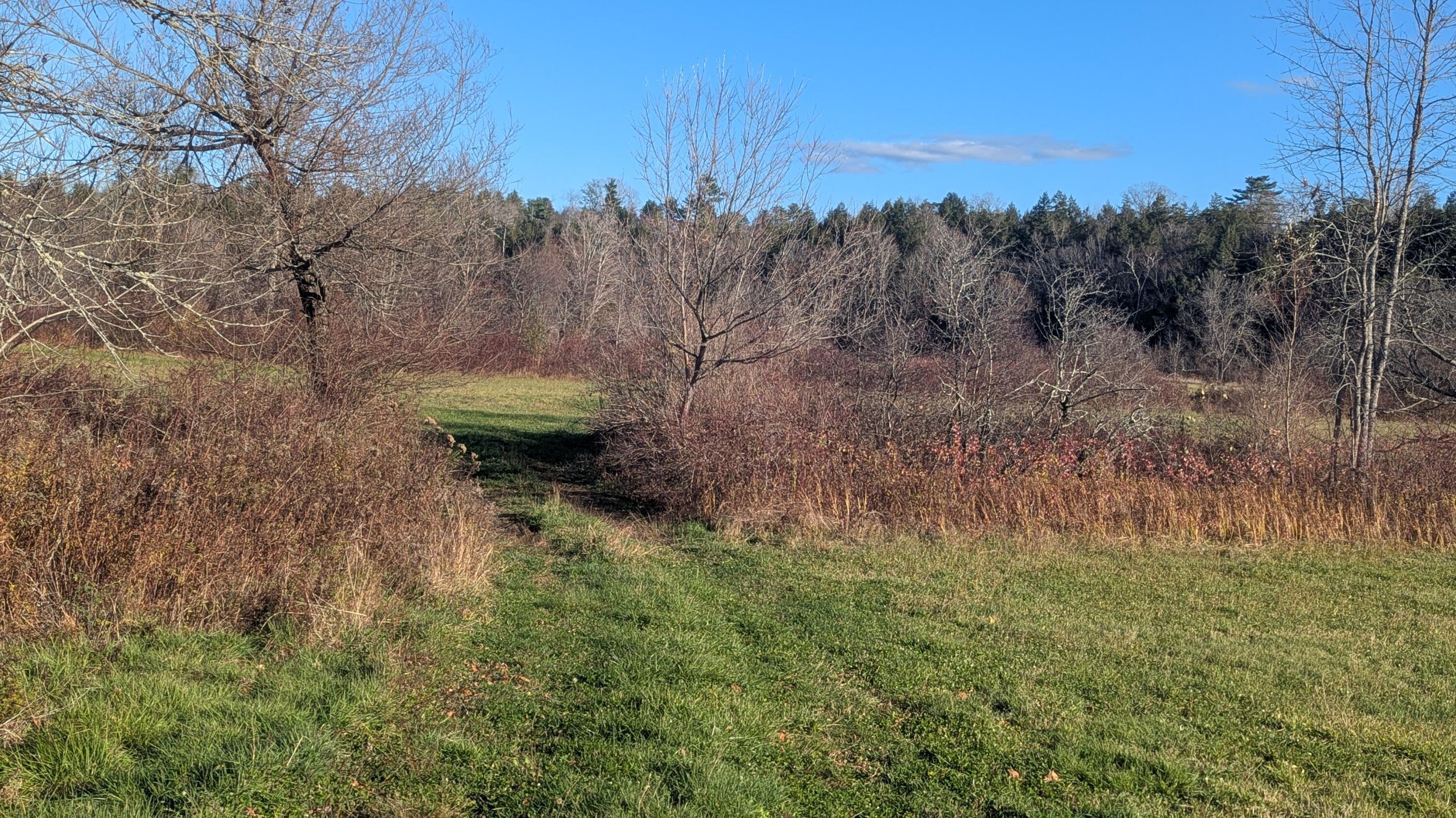 477 Malbons Mills Road Skowhegan, ME 04976 - Photo 9 of 37 PXL_20251102_191636648