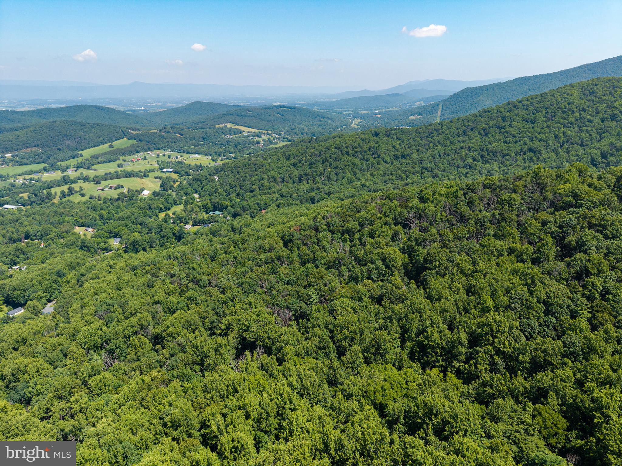 0 Helms Road Stanley, VA 22851 - Photo 45 of 50