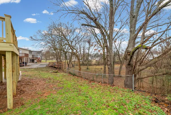 a view of a yard with a large tree