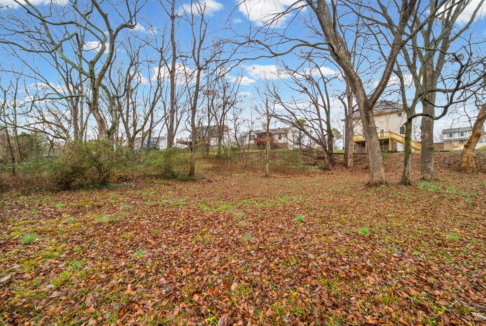 3118 Larson Lane Clarksville, TN 37043 - Photo 37 of 37 a backyard of a house with large trees