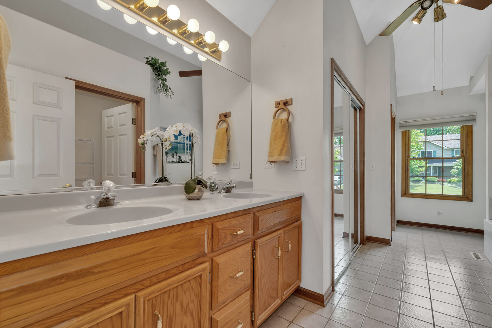 515 Boardman Circle Bolingbrook, IL 60440 - Photo 20 of 31 a spacious bathroom with a double vanity sink a mirror a vanity and a bathtub