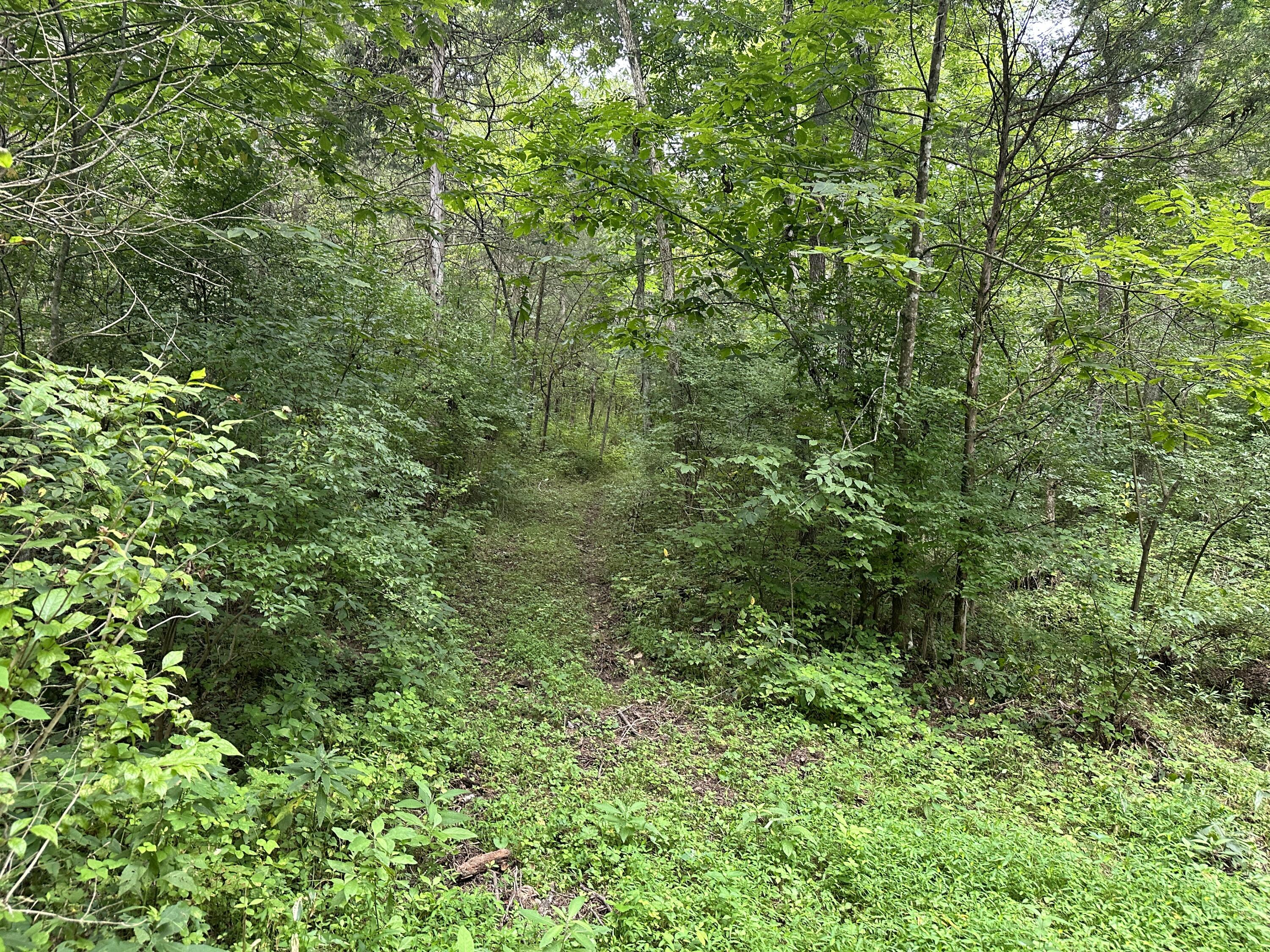297 Ceder Road Owingsville, KY 40360 - Photo 14 of 26 Trail
