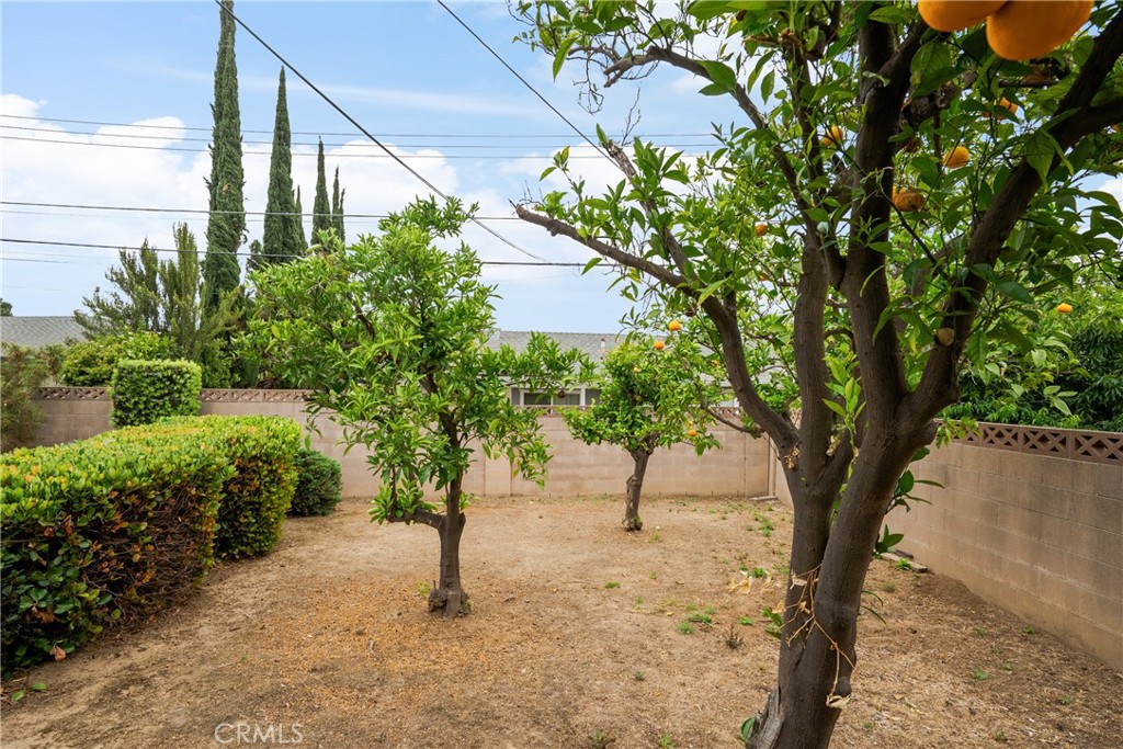 920 Wildrose Drive Brea, CA 92821 - Photo 32 of 34