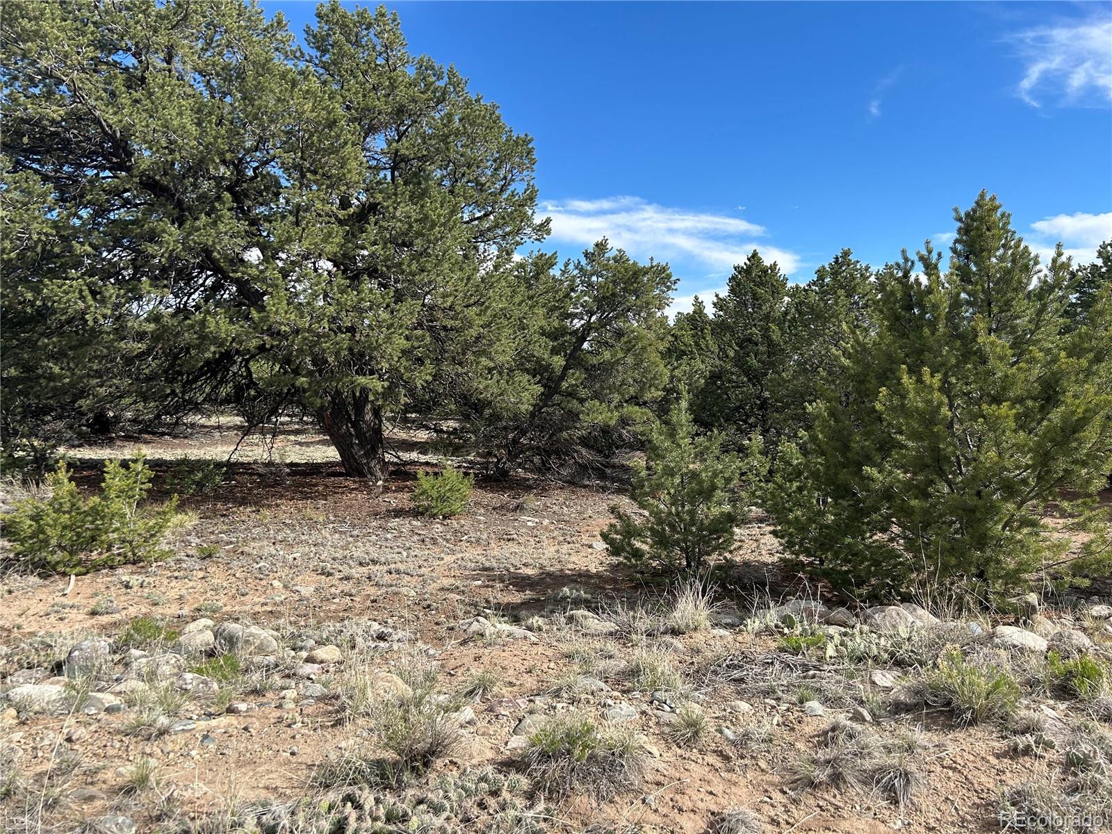 3715 Enchanted Way Crestone, CO 81131 - Photo 11 of 11