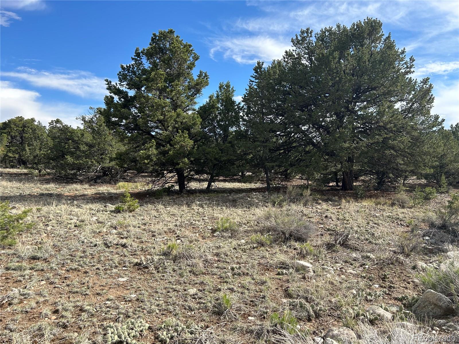 3715 Enchanted Way Crestone, CO 81131 - Photo 2 of 11