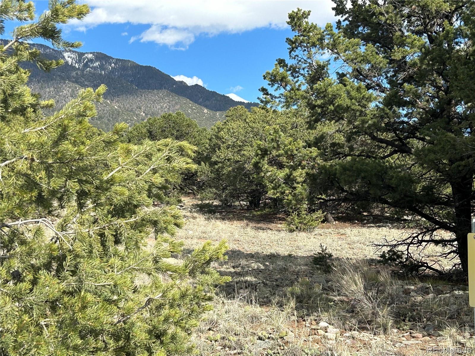 3715 Enchanted Way Crestone, CO 81131 - Photo 3 of 11