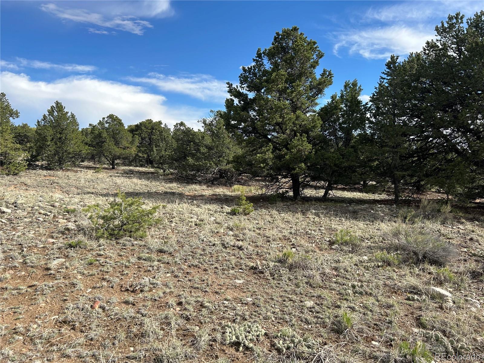 3715 Enchanted Way Crestone, CO 81131 - Photo 5 of 11