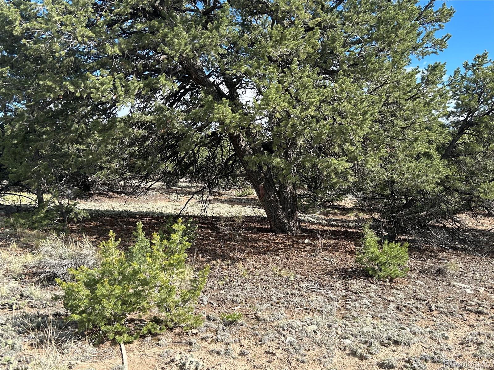 3715 Enchanted Way Crestone, CO 81131 - Photo 6 of 11