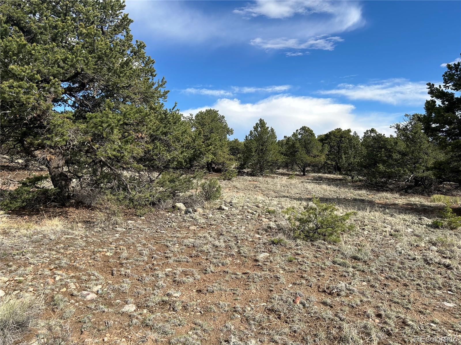 3715 Enchanted Way Crestone, CO 81131 - Photo 7 of 11