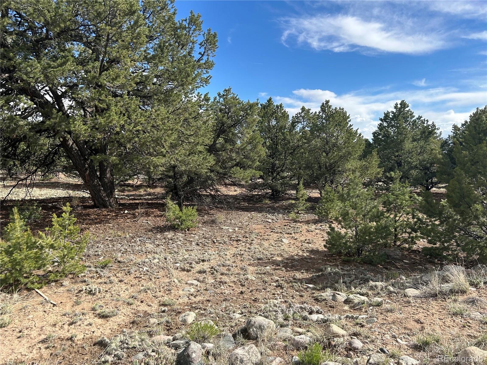 3715 Enchanted Way Crestone, CO 81131 - Photo 8 of 11