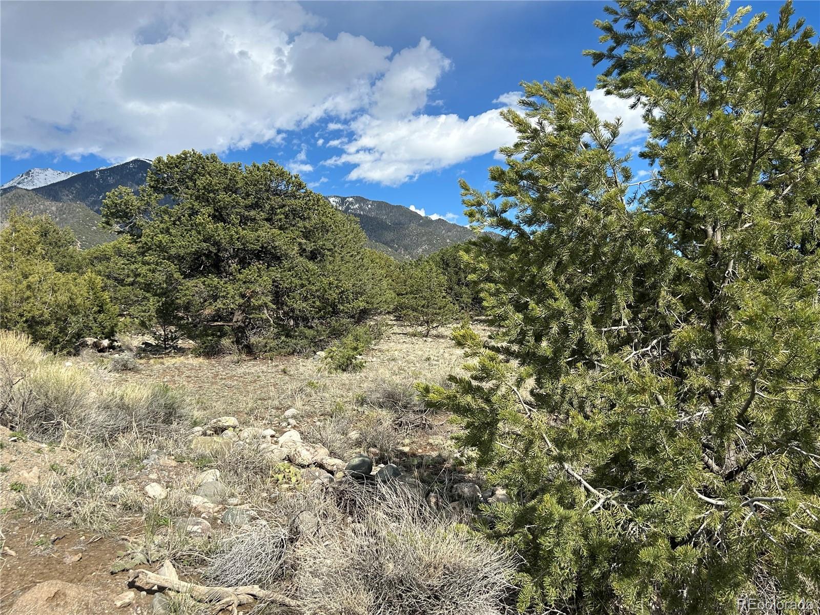 3715 Enchanted Way Crestone, CO 81131 - Photo 10 of 11