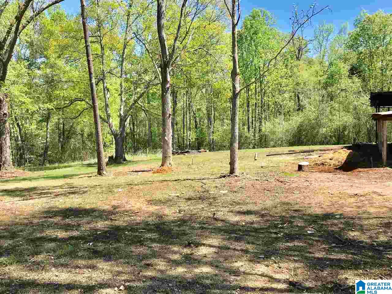 4715 Greensport Road Ashville, AL 35953 - Photo 28 of 31
