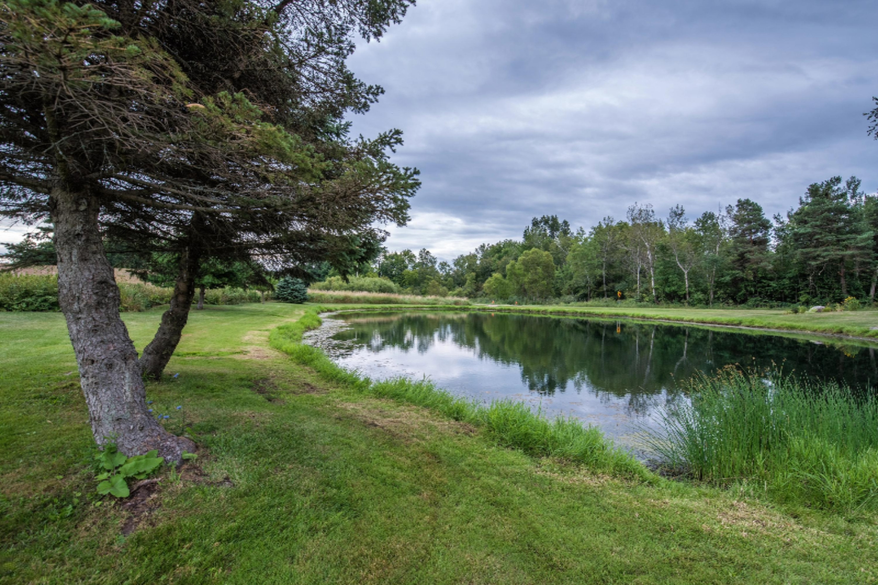 4950 Fritz Road Northwest Stanton, MI 48888 - Photo 53 of 63 DSC_0177
