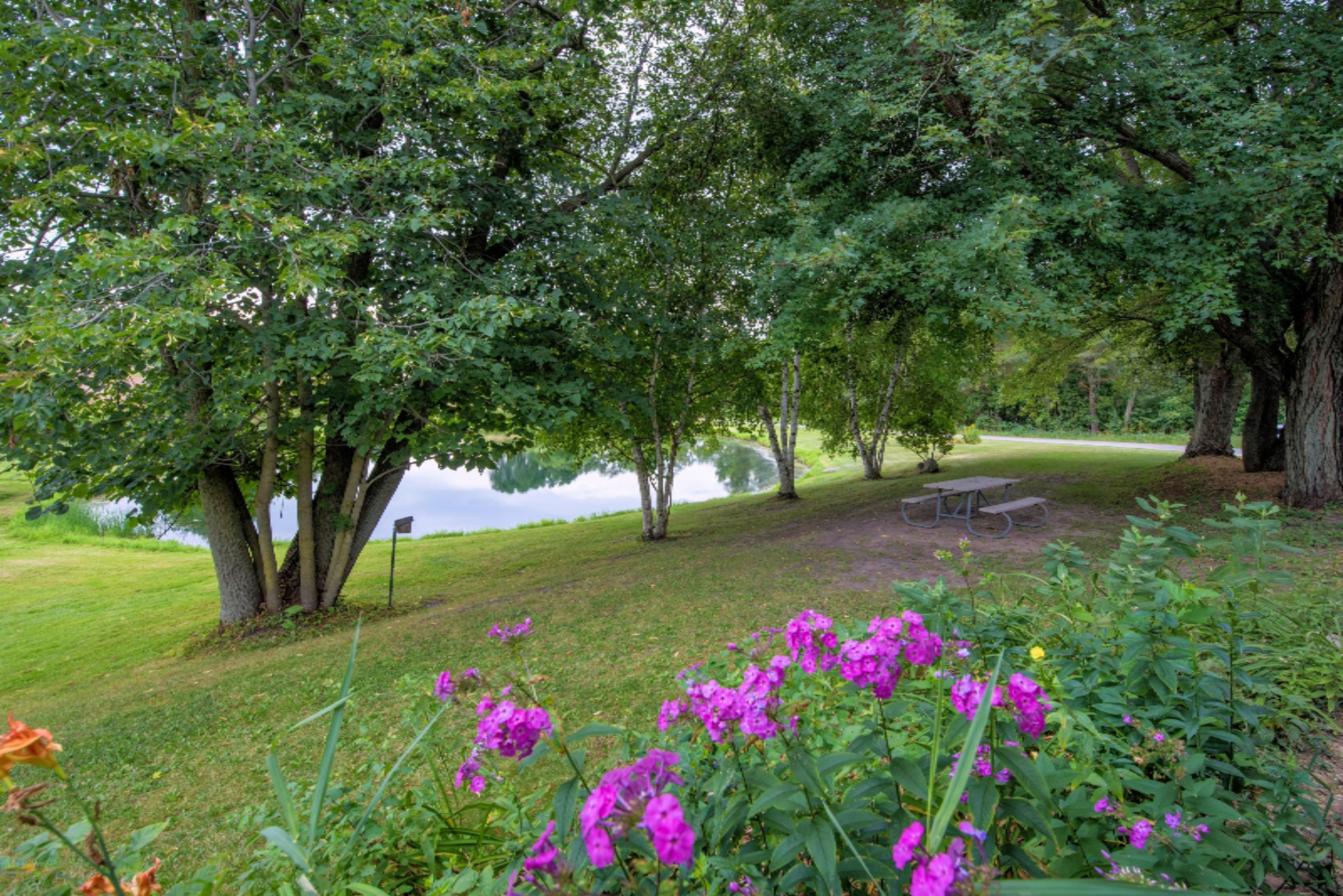 4950 Fritz Road Northwest Stanton, MI 48888 - Photo 54 of 63 DSC_0182