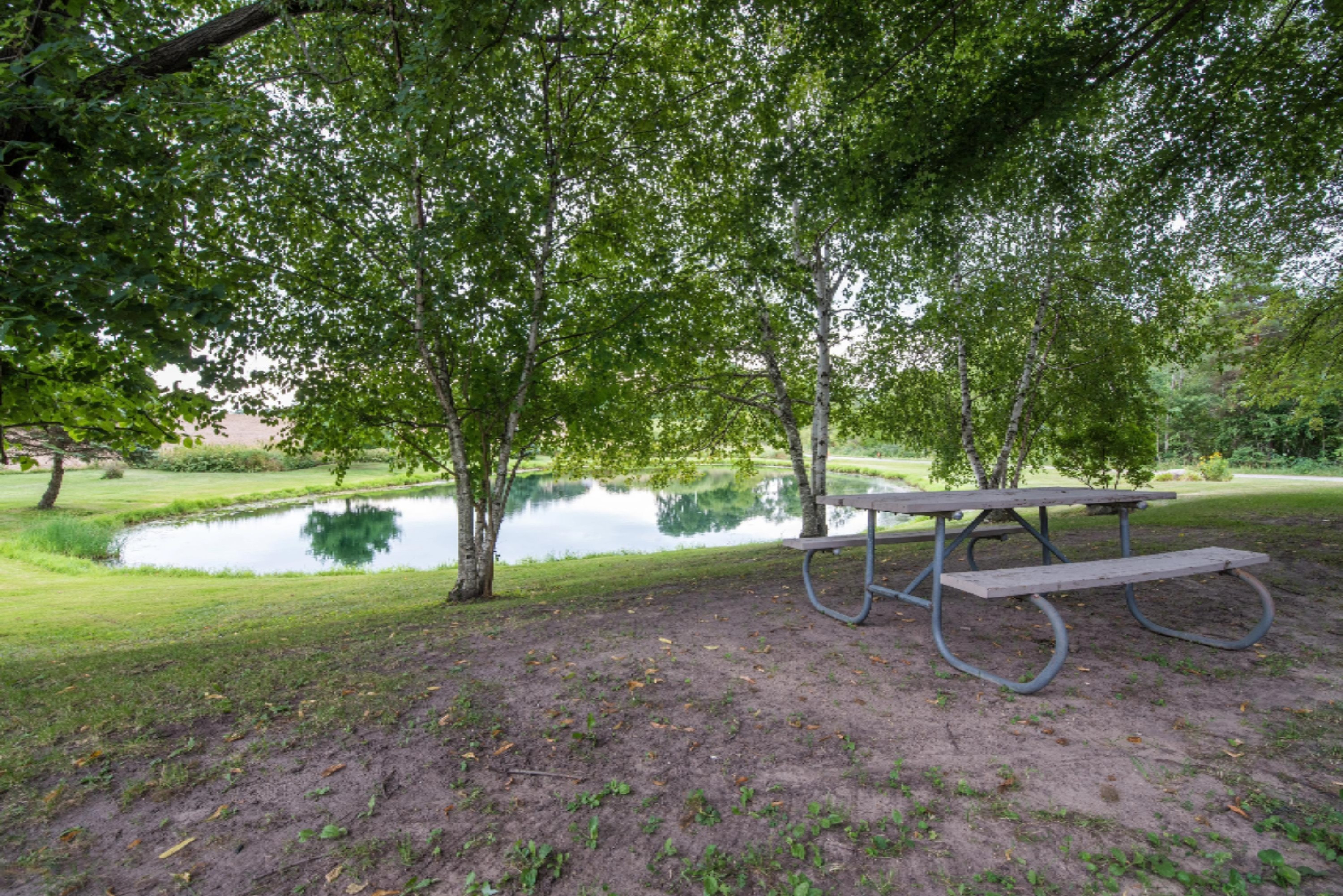 4950 Fritz Road Northwest Stanton, MI 48888 - Photo 55 of 63 DSC_0192