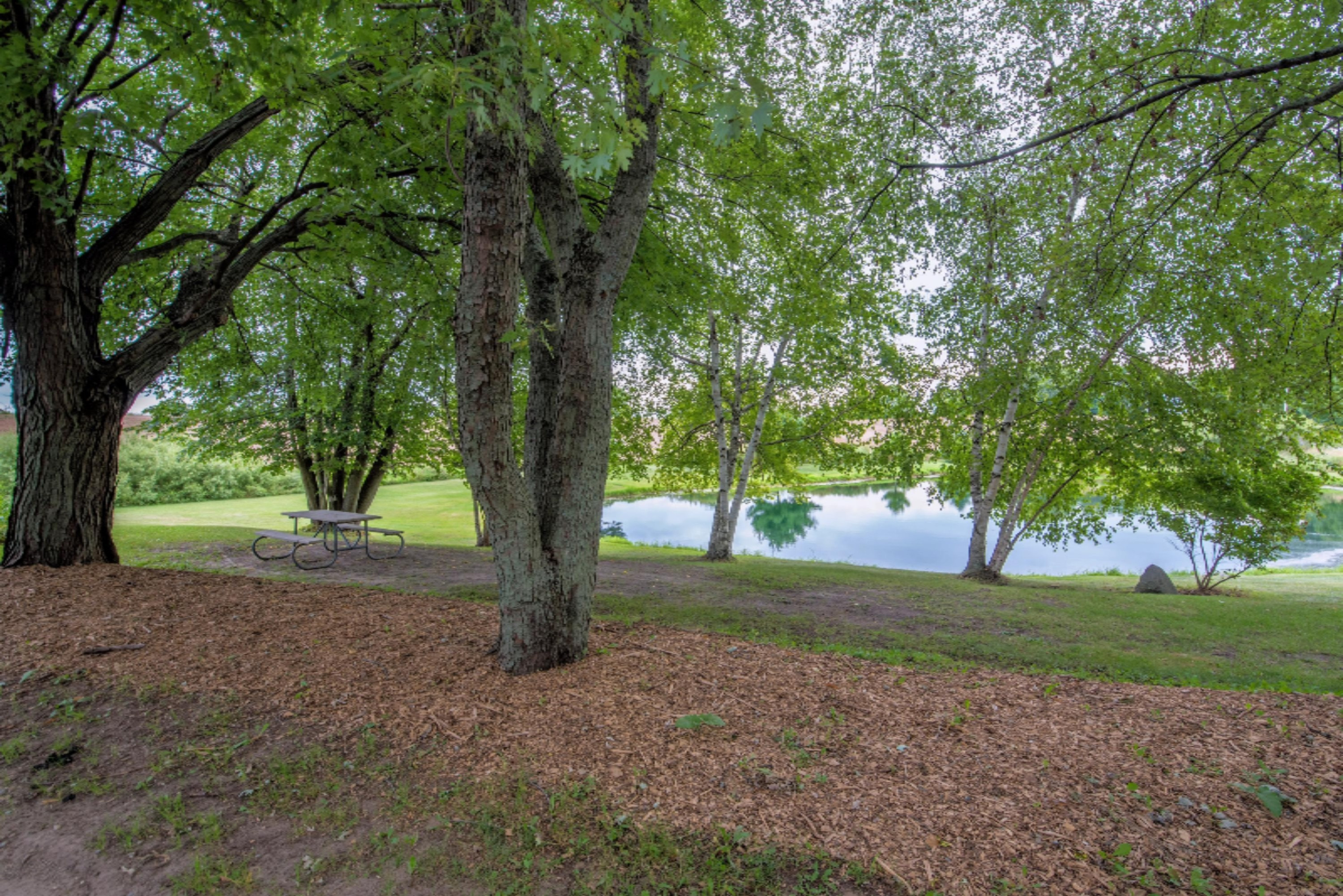 4950 Fritz Road Northwest Stanton, MI 48888 - Photo 10 of 63 DSC_0197