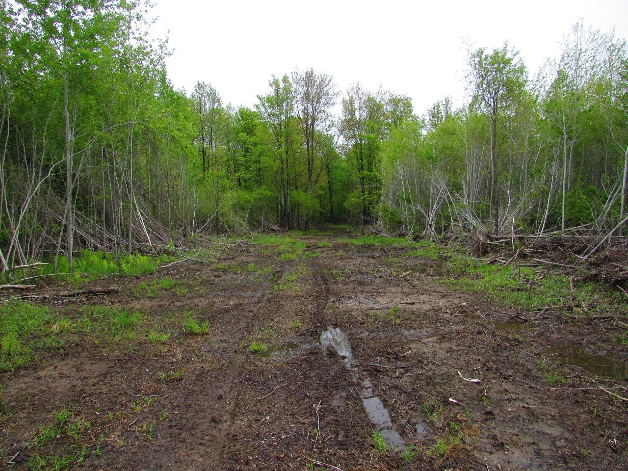 On Wears Road Catawba, WI 54515 - Photo 1 of 17 Gallery Image 1