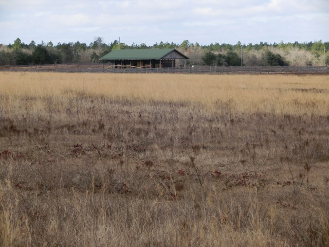 F & G Pickett Post Road Windsor, SC 29856 - Photo 9 of 18
