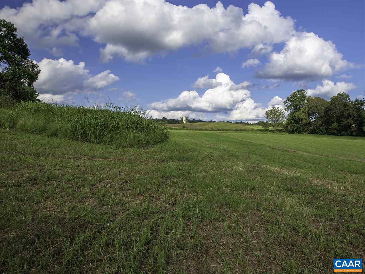 Tbd Ridgeview Road Reva, VA 22735 - Photo 4 of 4 a view of a big yard with large trees