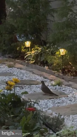 $540,000 | 5724 Harrier Drive, Clifton, VA 20124