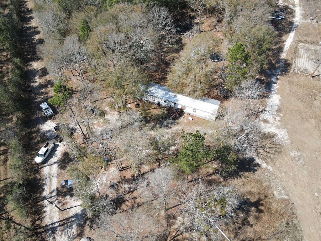 382 Public Work Road Samson, AL 36477 - Photo 7 of 9