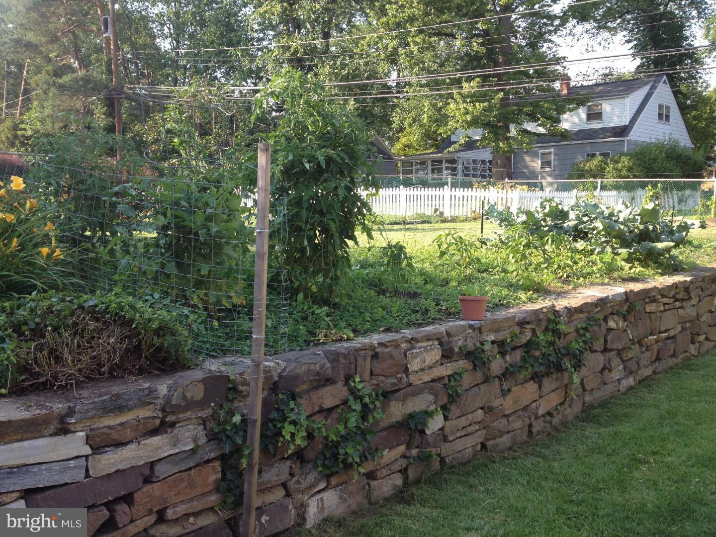 17 Cedar Grove Road Conshohocken, PA 19428 - Photo 17 of 17 Gallery Image 17