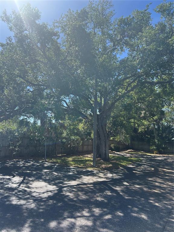 383 South McMullen Booth Road, Unit 68 Clearwater, FL 33759 - Photo 3 of 42