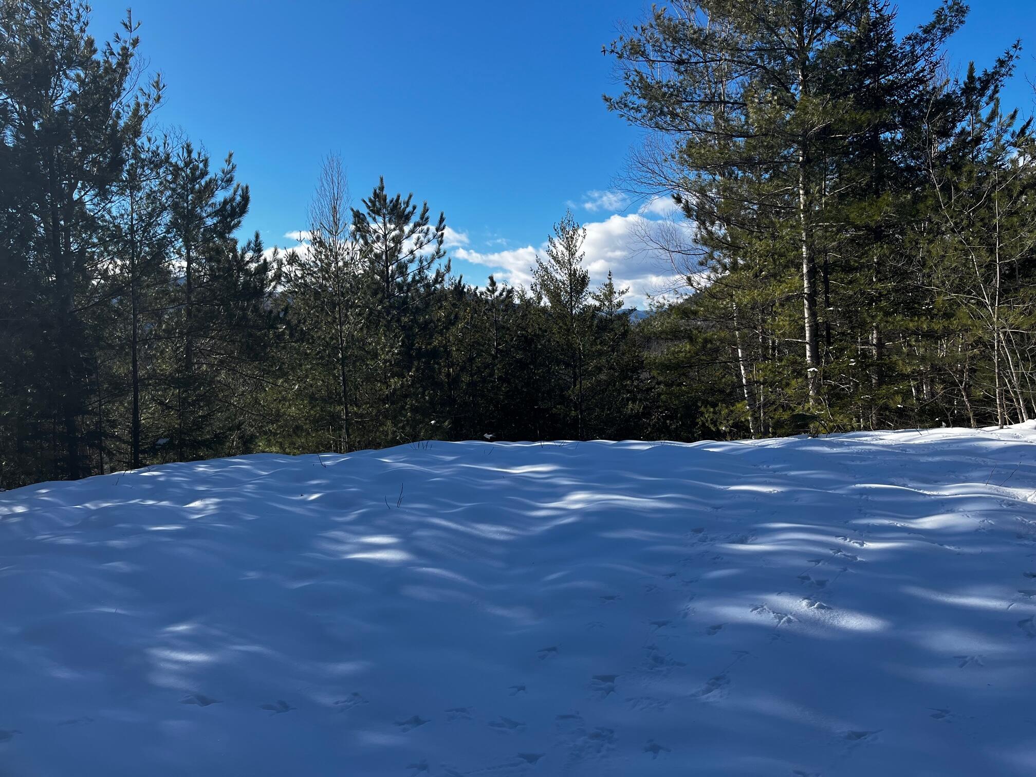 Lot 3 Mt Tumbledown Road Bethel, ME 04217 - Photo 4 of 18 IMG_3082