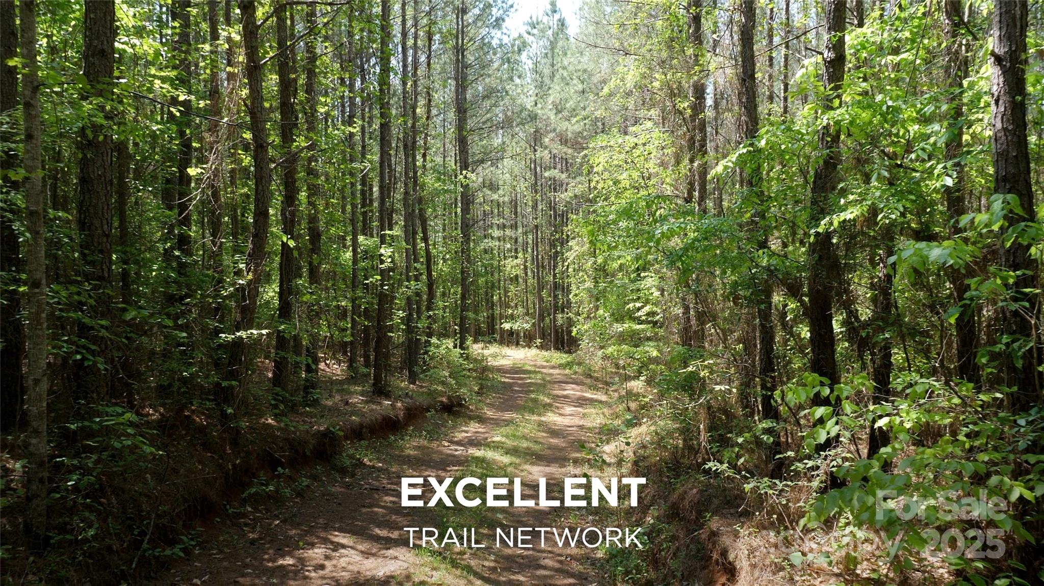 1150 Highway 108 Rutherfordton, NC 28139 - Photo 19 of 26