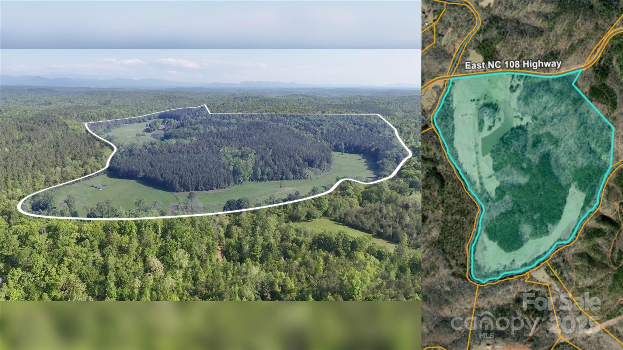 1150 Highway 108 Rutherfordton, NC 28139 - Photo 2 of 26