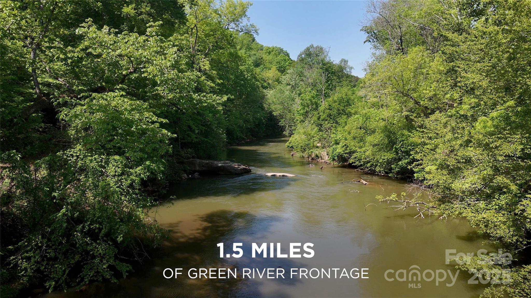 1150 Highway 108 Rutherfordton, NC 28139 - Photo 3 of 26