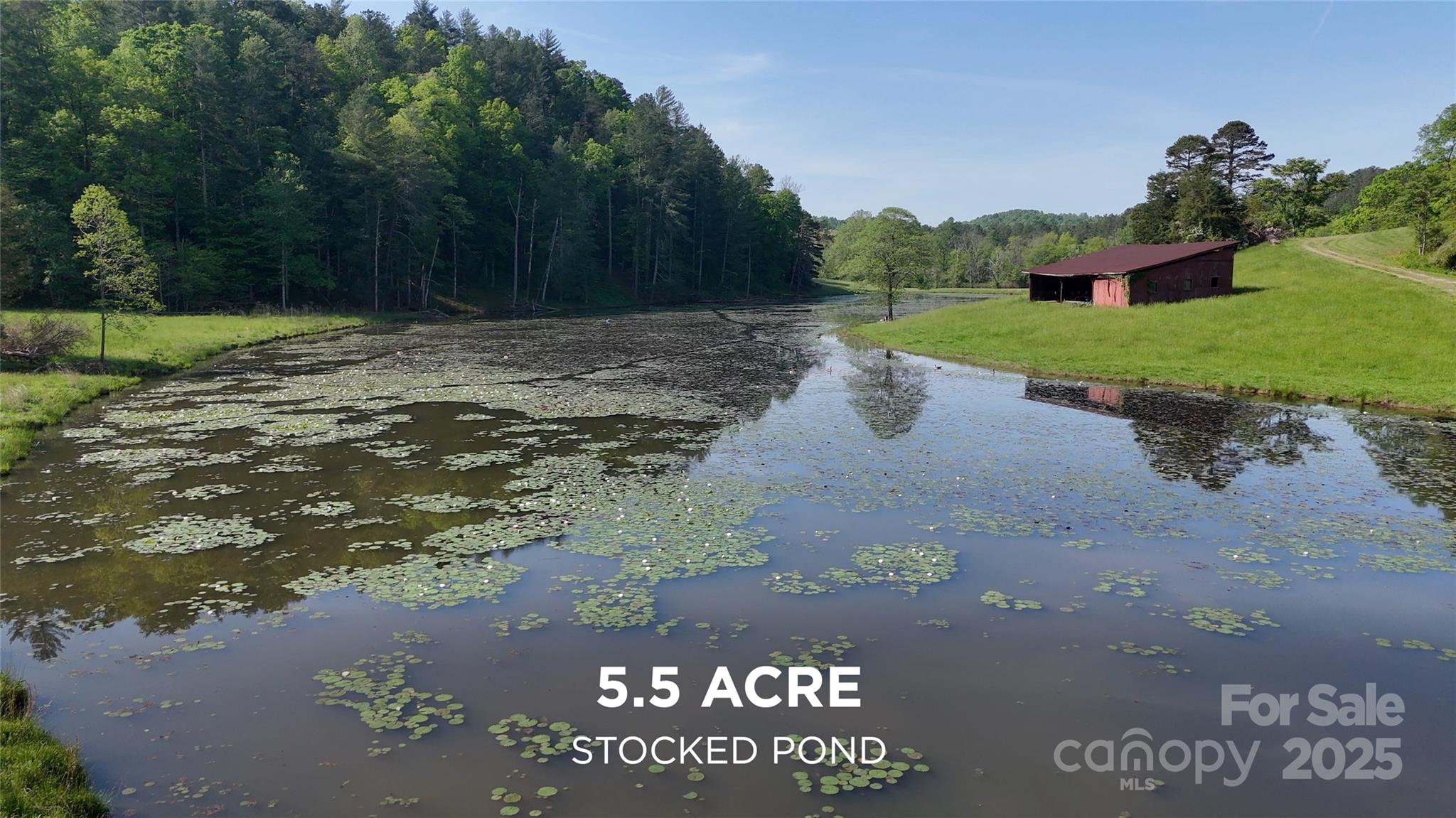 1150 Highway 108 Rutherfordton, NC 28139 - Photo 4 of 26