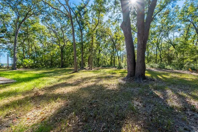 a view of yard with trees