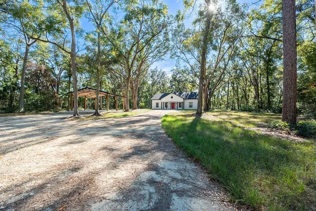 a view of backyard with large trees and plants