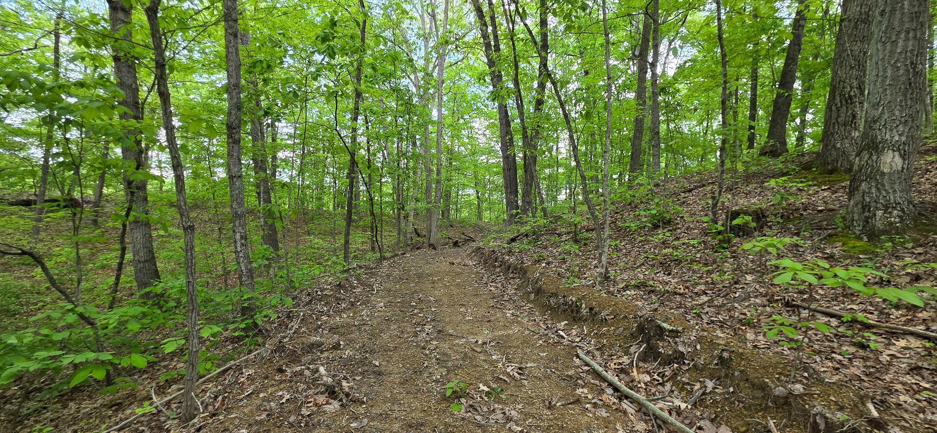 0 Edmundson Road, Unit RIDGE VIEW CABIN BIG TIMBER) Vinton, OH 45686 - Photo 10 of 67 CT-10