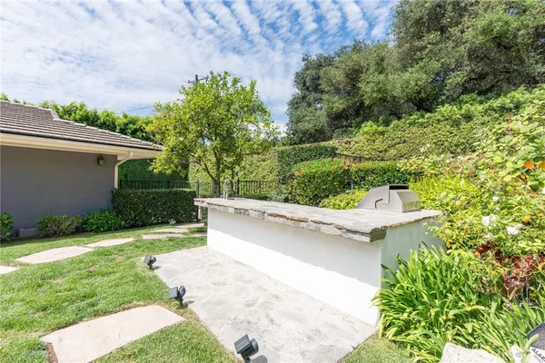 a view of a backyard with plants