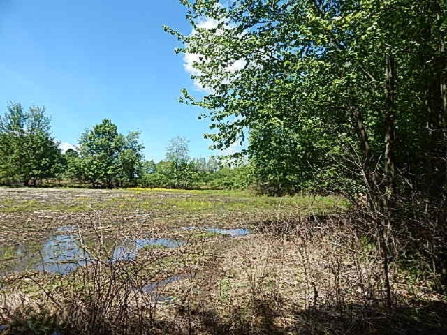 990 Clarendon Road Quincy, MI 49082 - Photo 23 of 40 DSCN6723
