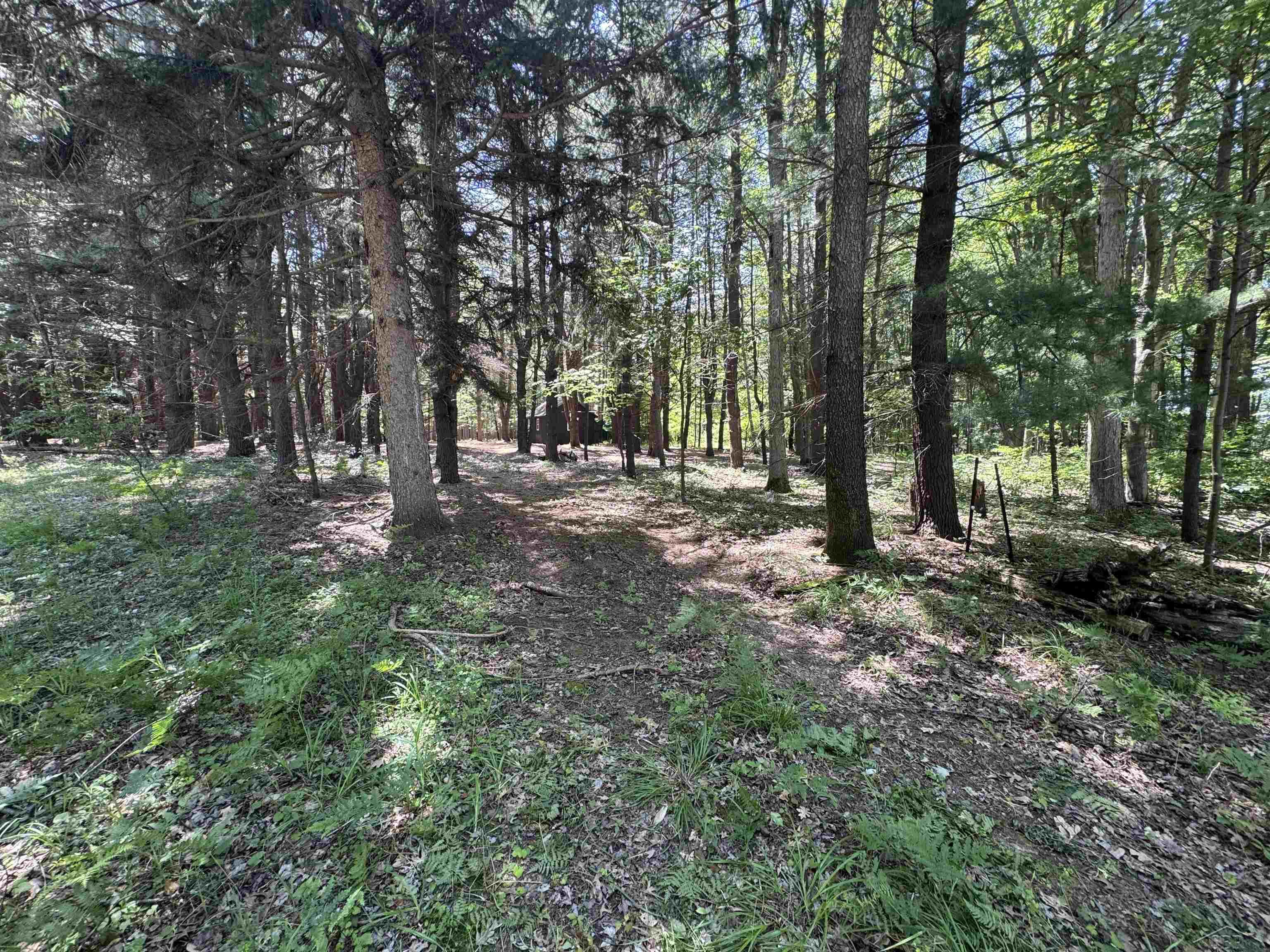 South Fenmore Road Merrill, MI 48637 - Photo 25 of 31