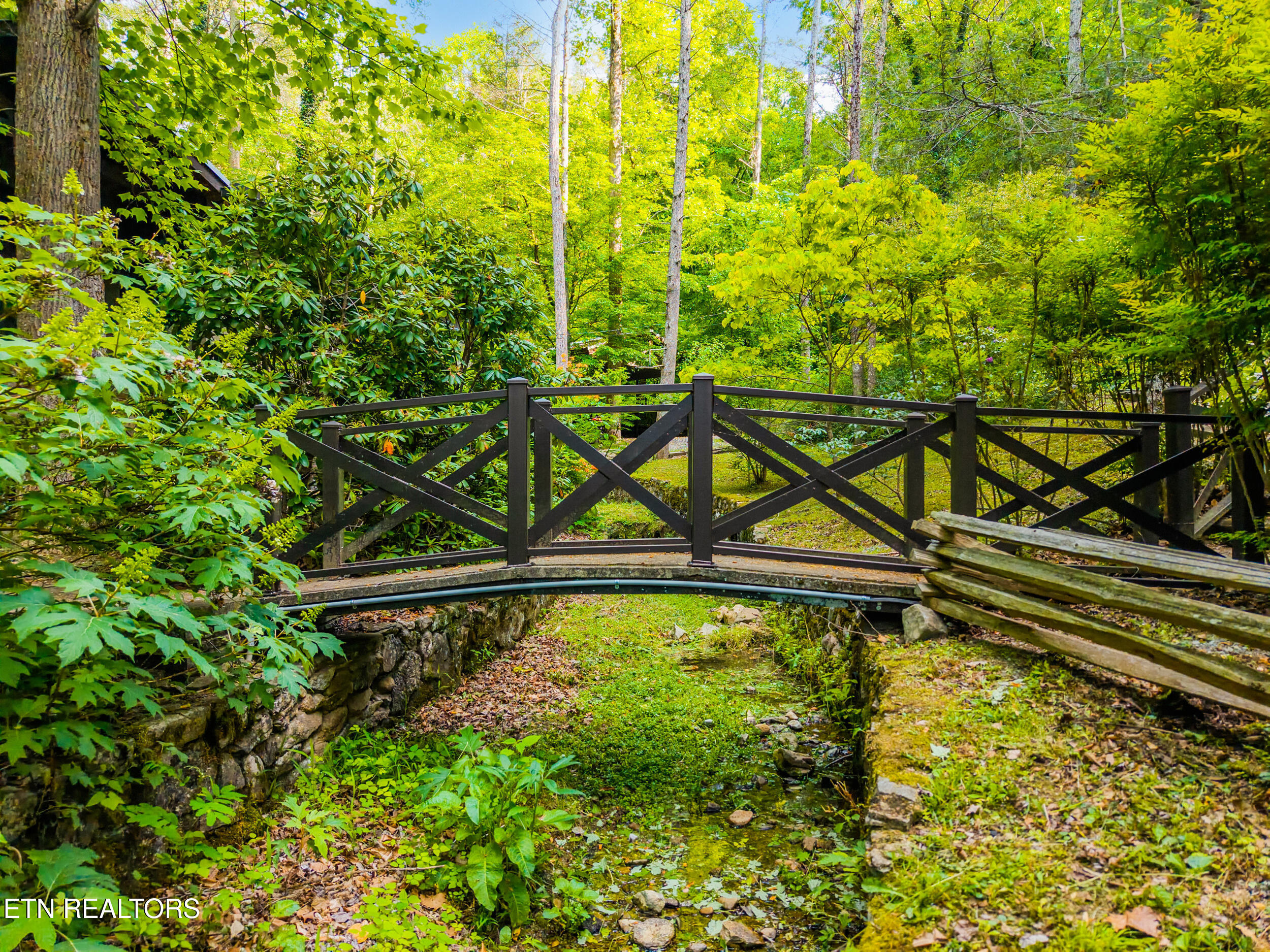 259 Black Mash Hollow Road Townsend, TN 37882 - Photo 4 of 42 IMG_2832
