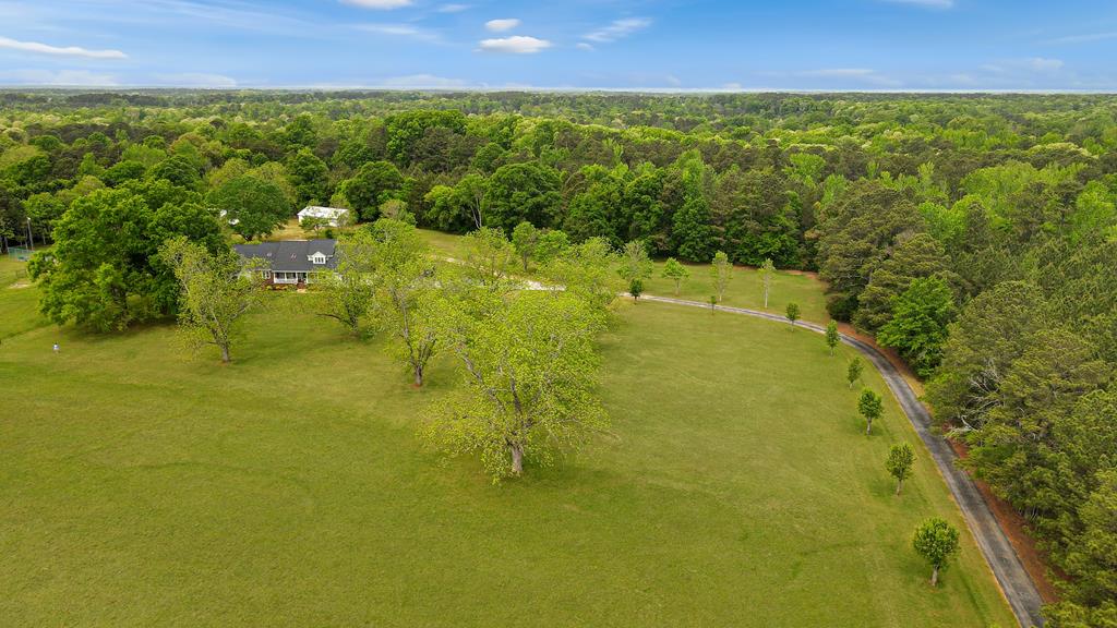 212 Hammond Road Greenwood, SC 29646 - Photo 40 of 40 Pecan Trees and Driveway