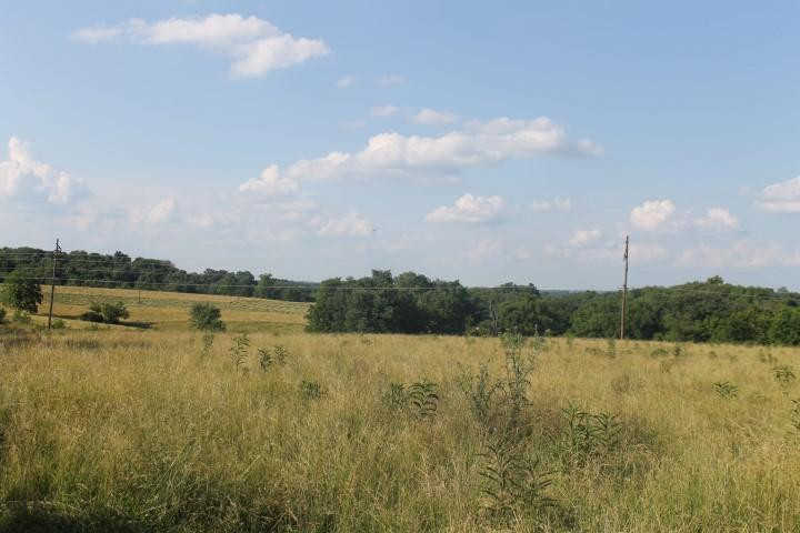 2730 Millersburg Ruddles Mill Road Paris, KY 40361 - Photo 6 of 16 Photo 6