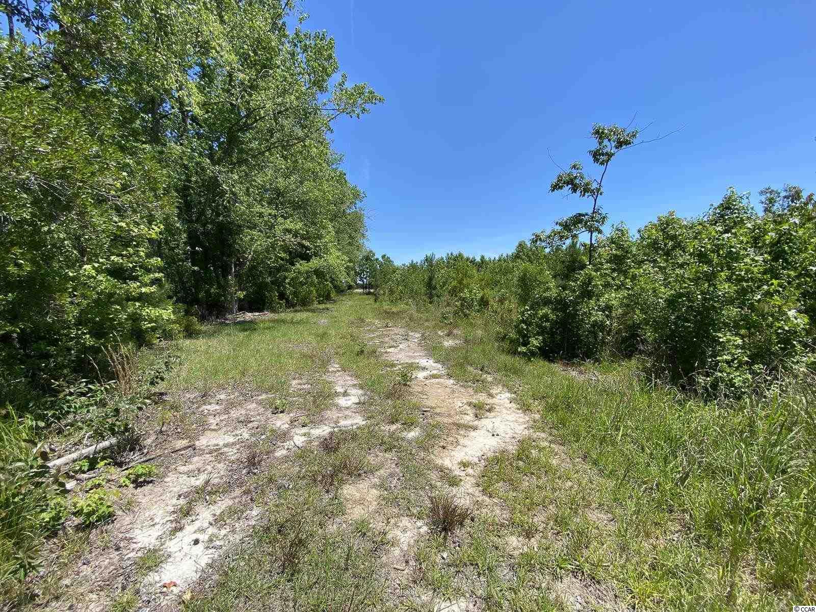 Tbd Bullard Road Loris, SC 29569 - Photo 7 of 8 Gallery Image 7