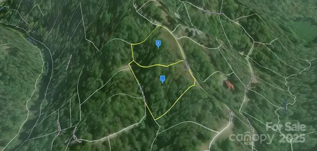 a view of a plant in a garden