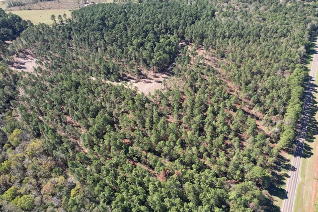 $182,500 | 84 Mount Enterprise Tx 75681, Garrison, TX 75946