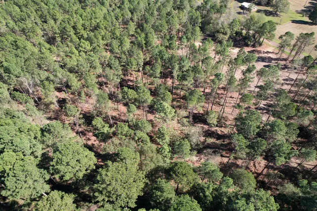 $182,500 | 84 Mount Enterprise Tx 75681, Garrison, TX 75946