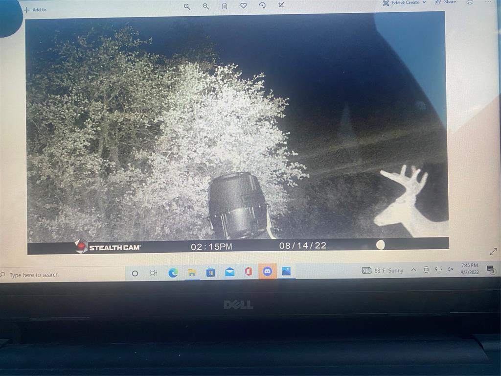 225 County Road 225 Brookesmith, TX 76827 - Photo 2 of 8 a closeup of a window